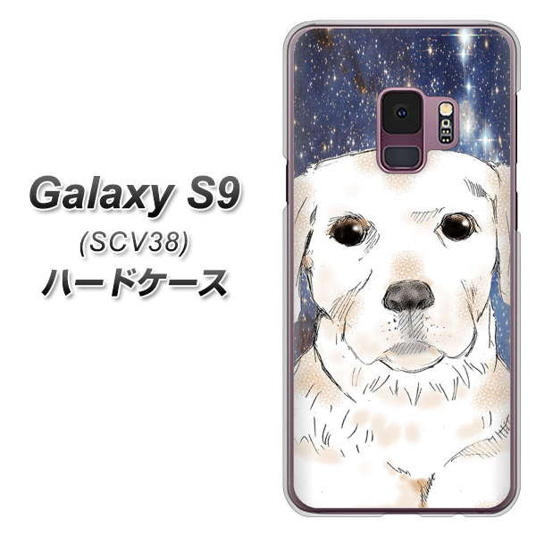 au ギャラクシー S9 SCV38 高画質仕上げ 背面印刷 ハードケース【YD820 ラブラドールレトリバー01】