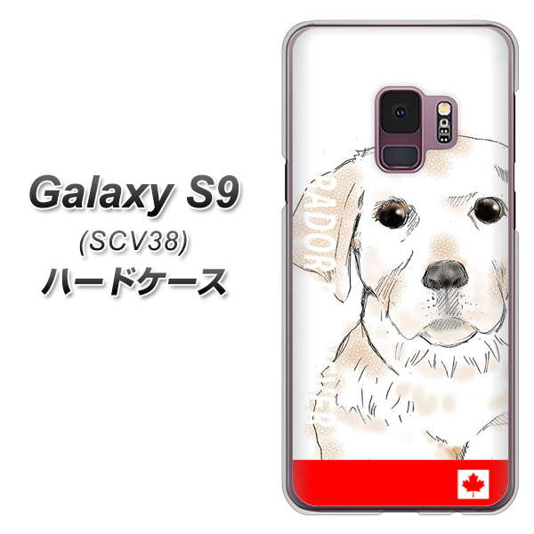au ギャラクシー S9 SCV38 高画質仕上げ 背面印刷 ハードケース【YD821 ラブラドールレトリバー02】