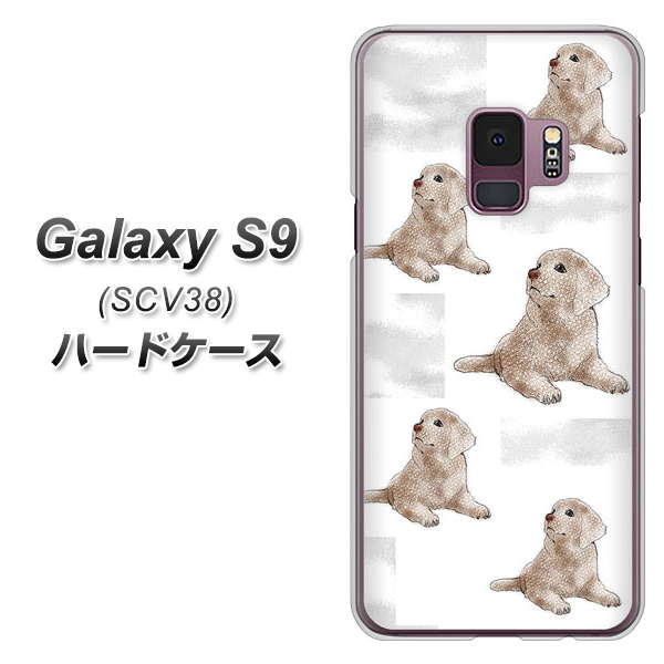 au ギャラクシー S9 SCV38 高画質仕上げ 背面印刷 ハードケース【YD823 ラブラドールレトリバー04】
