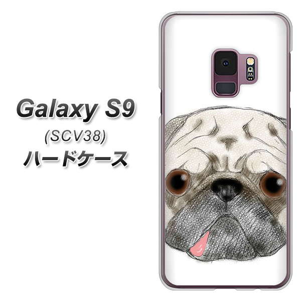 au ギャラクシー S9 SCV38 高画質仕上げ 背面印刷 ハードケース【YD855 パグ01】
