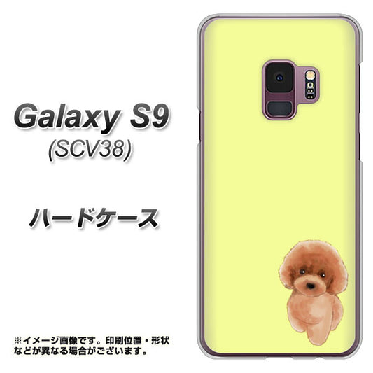 au ギャラクシー S9 SCV38 高画質仕上げ 背面印刷 ハードケース【YJ051 トイプードルレッド(イエロー)】