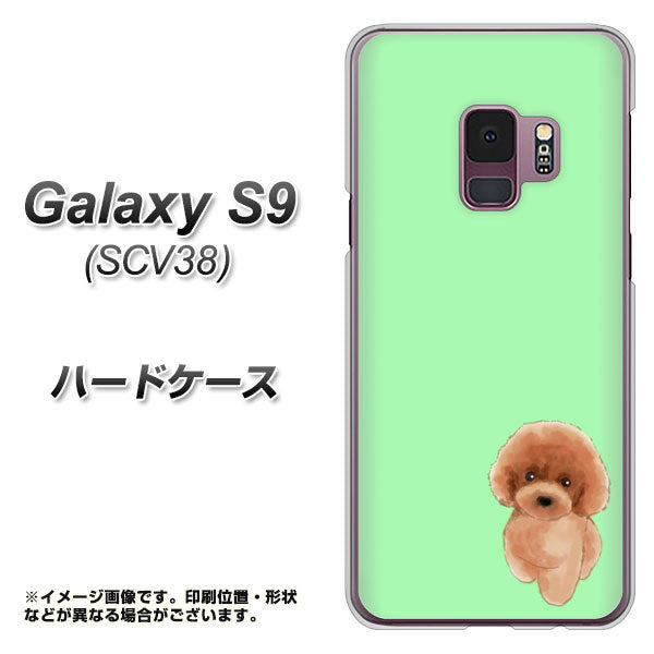 au ギャラクシー S9 SCV38 高画質仕上げ 背面印刷 ハードケース【YJ052 トイプードルレッド( グリーン)】