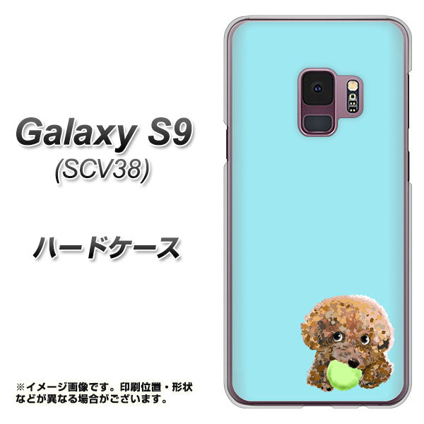 au ギャラクシー S9 SCV38 高画質仕上げ 背面印刷 ハードケース【YJ054 トイプードル&ボール(ブルー)】