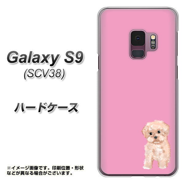 au ギャラクシー S9 SCV38 高画質仕上げ 背面印刷 ハードケース【YJ061 トイプードルアプリコット(ピンク)】