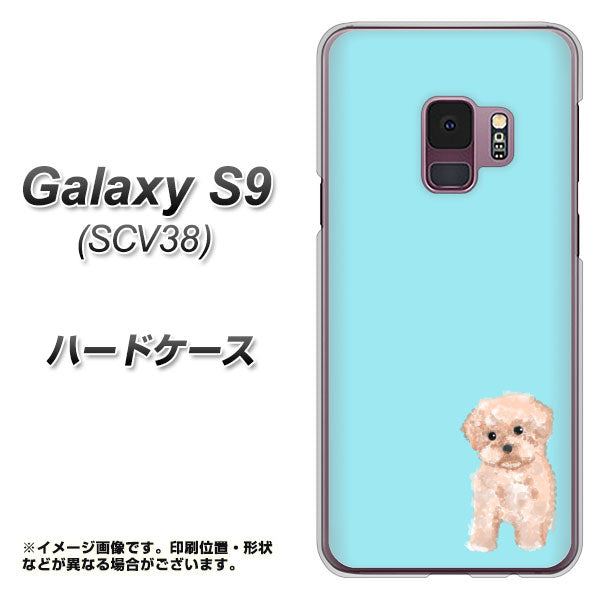 au ギャラクシー S9 SCV38 高画質仕上げ 背面印刷 ハードケース【YJ062 トイプードルアプリコット（ブルー）】