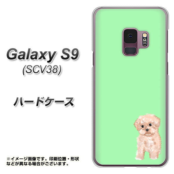 au ギャラクシー S9 SCV38 高画質仕上げ 背面印刷 ハードケース【YJ063 トイプードルアプリコット(グリーン)】