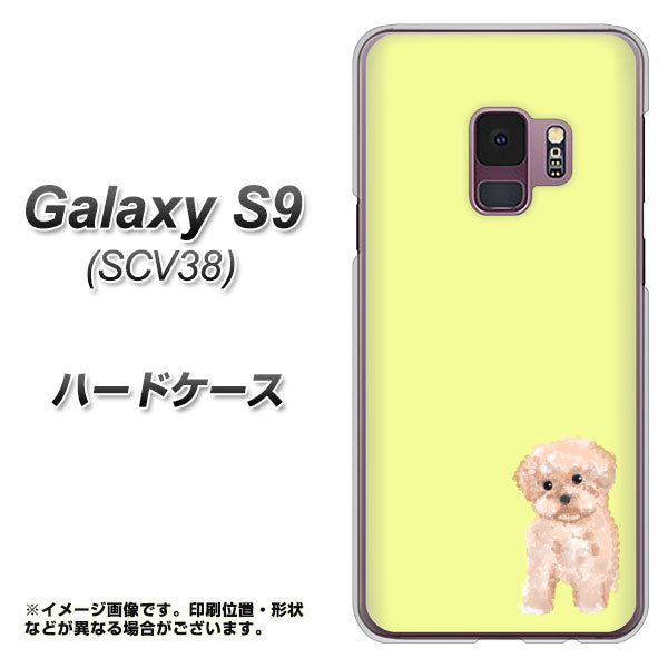au ギャラクシー S9 SCV38 高画質仕上げ 背面印刷 ハードケース【YJ064 トイプードルアプリコット(イエロー)】