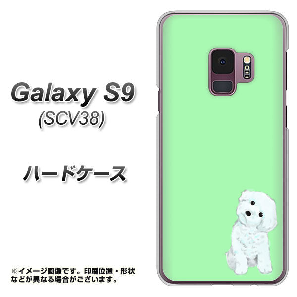 au ギャラクシー S9 SCV38 高画質仕上げ 背面印刷 ハードケース【YJ071 トイプードルホワイト(グリーン)】