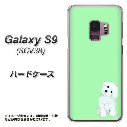 au ギャラクシー S9 SCV38 高画質仕上げ 背面印刷 ハードケース【YJ071 トイプードルホワイト(グリーン)】