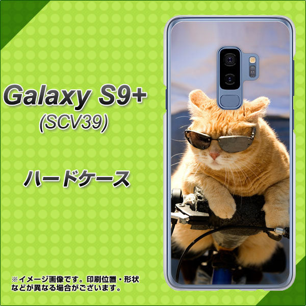 au ギャラクシー S9+ SCV39 高画質仕上げ 背面印刷 ハードケース【595 にゃんとサイクル】