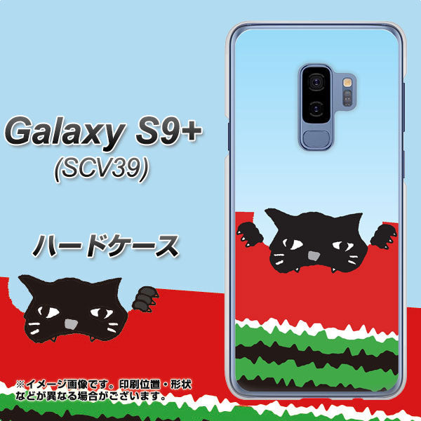 au ギャラクシー S9+ SCV39 高画質仕上げ 背面印刷 ハードケース【IA815 すいかをかじるネコ(大)】