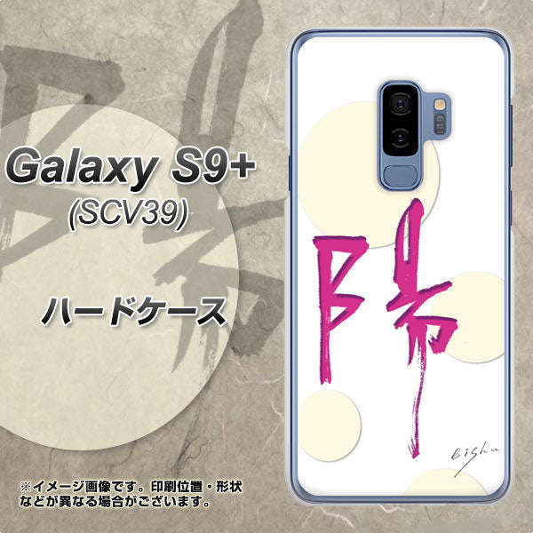 au ギャラクシー S9+ SCV39 高画質仕上げ 背面印刷 ハードケース【OE833 陽】