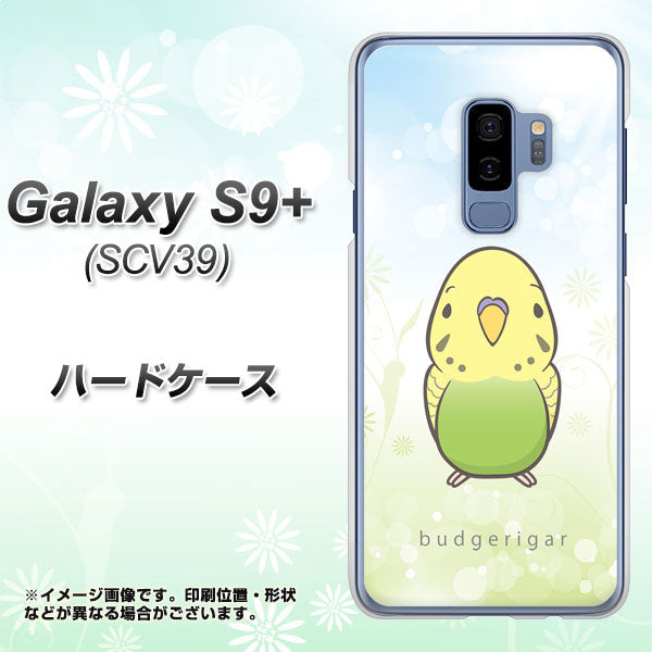 au ギャラクシー S9+ SCV39 高画質仕上げ 背面印刷 ハードケース【SC838 セキセイインコ グリーン】