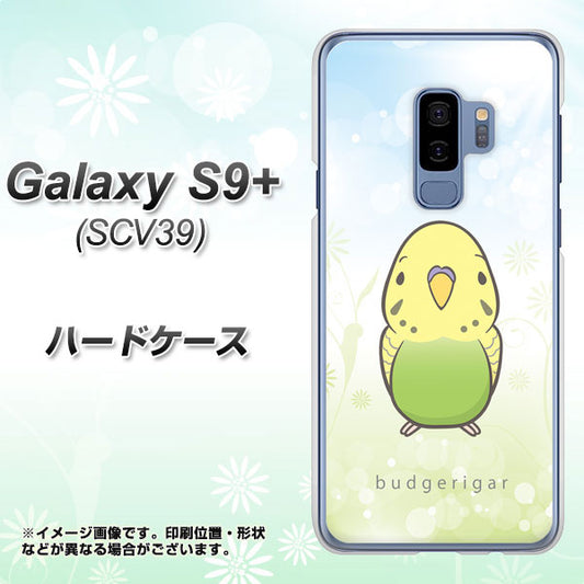 au ギャラクシー S9+ SCV39 高画質仕上げ 背面印刷 ハードケース【SC838 セキセイインコ グリーン】