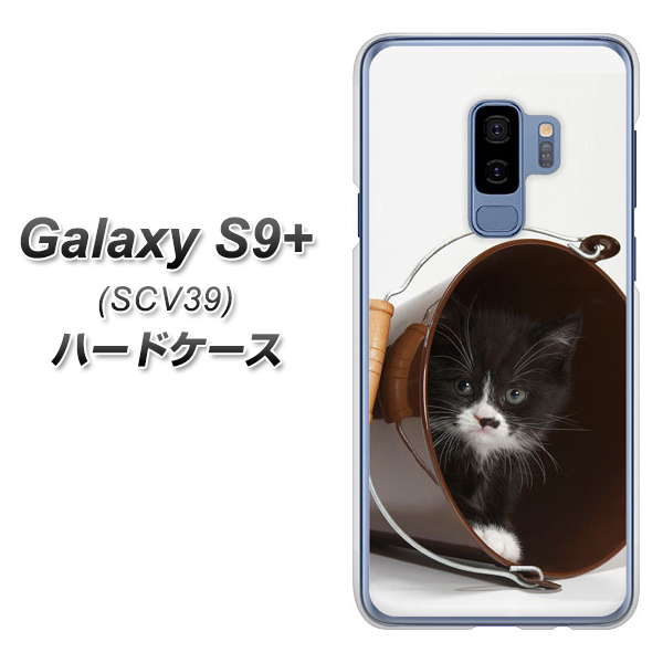 au ギャラクシー S9+ SCV39 高画質仕上げ 背面印刷 ハードケース【VA800 ネコとバケツ】