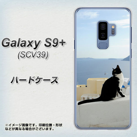 au ギャラクシー S9+ SCV39 高画質仕上げ 背面印刷 ハードケース【VA805 ネコと地中海】