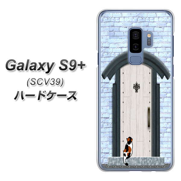 au ギャラクシー S9+ SCV39 高画質仕上げ 背面印刷 ハードケース【YA951 石ドア01】