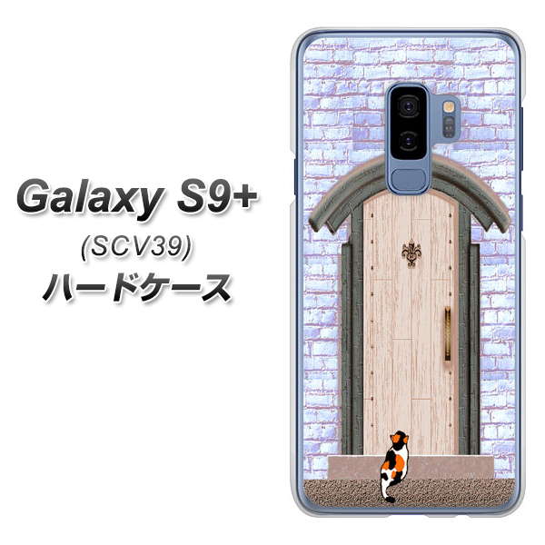 au ギャラクシー S9+ SCV39 高画質仕上げ 背面印刷 ハードケース【YA952 石ドア02 素材クリア】