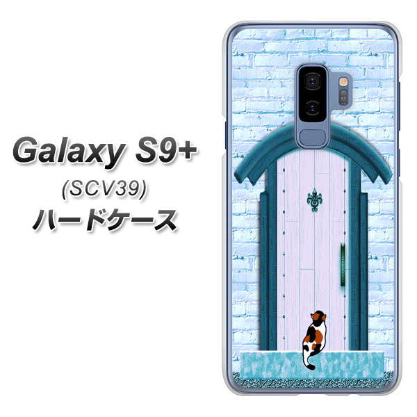 au ギャラクシー S9+ SCV39 高画質仕上げ 背面印刷 ハードケース【YA953 石ドア03 素材クリア】