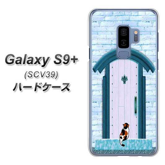 au ギャラクシー S9+ SCV39 高画質仕上げ 背面印刷 ハードケース【YA953 石ドア03 素材クリア】