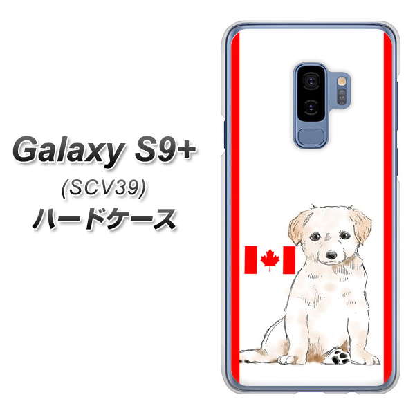 au ギャラクシー S9+ SCV39 高画質仕上げ 背面印刷 ハードケース【YD824 ラブラドールレトリバー05】