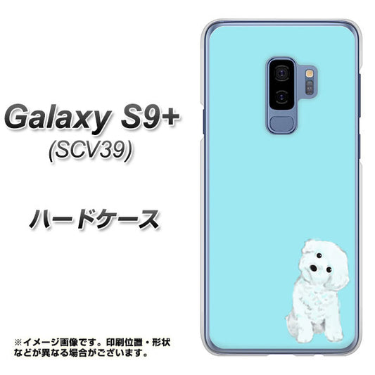 au ギャラクシー S9+ SCV39 高画質仕上げ 背面印刷 ハードケース【YJ070 トイプードルホワイト(ブルー)】