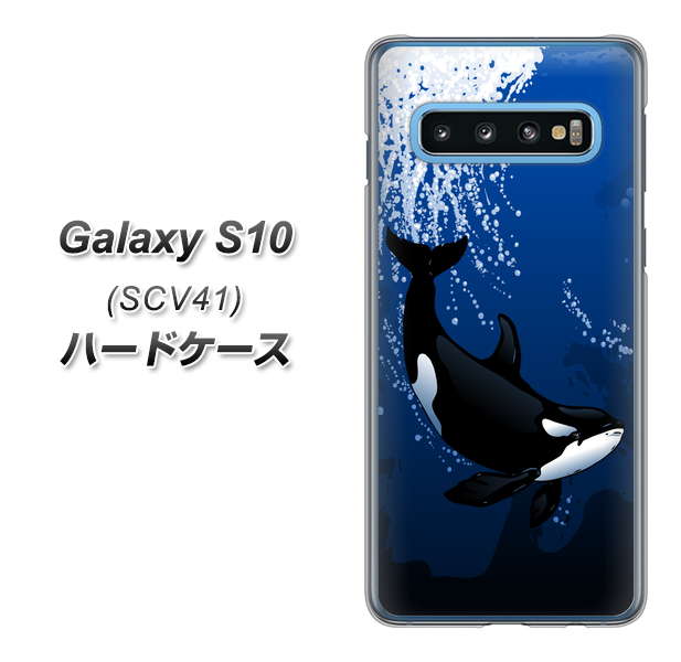 au ギャラクシー S10 SCV41 高画質仕上げ 背面印刷 ハードケース【423 シャチ】