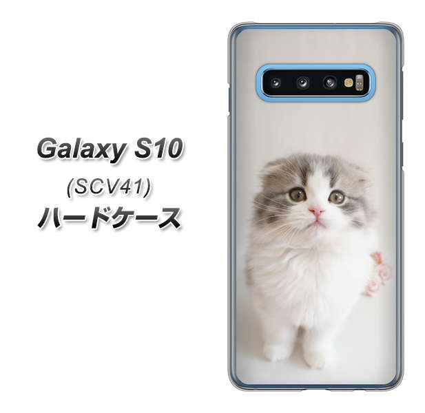 au ギャラクシー S10 SCV41 高画質仕上げ 背面印刷 ハードケース【VA803 まっていますネコ】