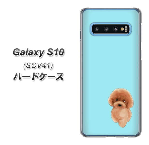 au ギャラクシー S10 SCV41 高画質仕上げ 背面印刷 ハードケース【YJ050 トイプードルレッド(ブルー)】