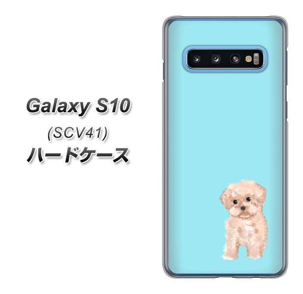 au ギャラクシー S10 SCV41 高画質仕上げ 背面印刷 ハードケース【YJ062 トイプードルアプリコット(ブルー)】