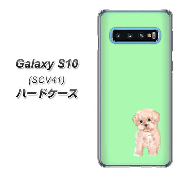au ギャラクシー S10 SCV41 高画質仕上げ 背面印刷 ハードケース【YJ063 トイプードルアプリコット(グリーン)】