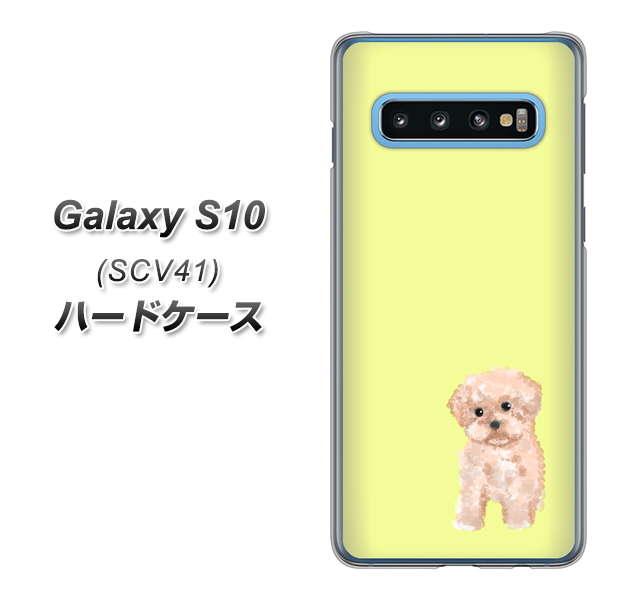 au ギャラクシー S10 SCV41 高画質仕上げ 背面印刷 ハードケース【YJ064 トイプードルアプリコット(イエロー)】