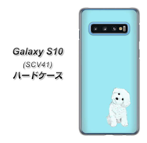 au ギャラクシー S10 SCV41 高画質仕上げ 背面印刷 ハードケース【YJ070 トイプードルホワイト(ブルー)】