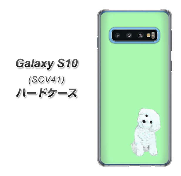 au ギャラクシー S10 SCV41 高画質仕上げ 背面印刷 ハードケース【YJ071 トイプードルホワイト(グリーン)】