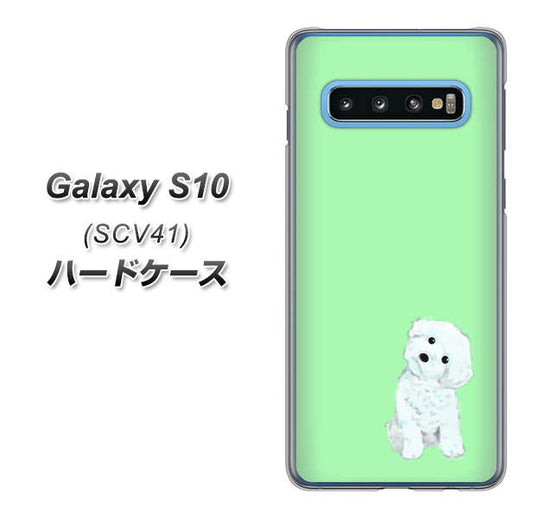 au ギャラクシー S10 SCV41 高画質仕上げ 背面印刷 ハードケース【YJ071 トイプードルホワイト(グリーン)】