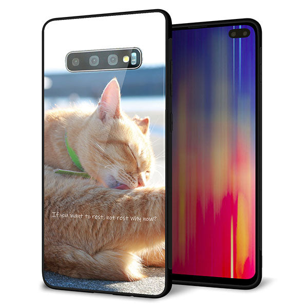 au ギャラクシー S10+ SCV42 強化ガラス&TPUスマホケース ガラプリ【KM876 猫】