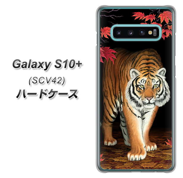 au ギャラクシー S10+ SCV42 高画質仕上げ 背面印刷 ハードケース【177 もみじと虎】