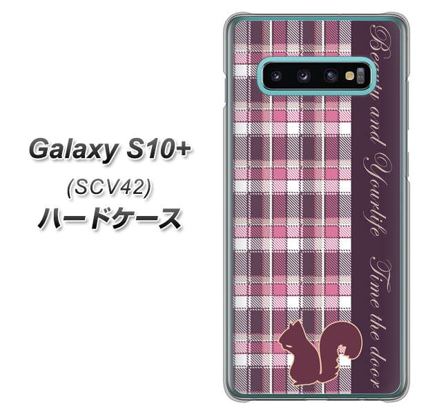 au ギャラクシー S10+ SCV42 高画質仕上げ 背面印刷 ハードケース【519 チェック柄にリス】