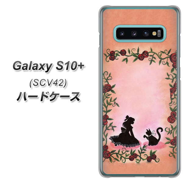 au ギャラクシー S10+ SCV42 高画質仕上げ 背面印刷 ハードケース【1096 お姫様とネコ(カラー)】