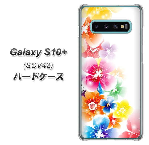 au ギャラクシー S10+ SCV42 高画質仕上げ 背面印刷 ハードケース【1209 光と花】