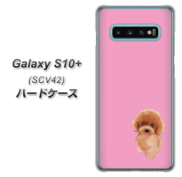 au ギャラクシー S10+ SCV42 高画質仕上げ 背面印刷 ハードケース【YJ049 トイプードルレッド(ピンク)】