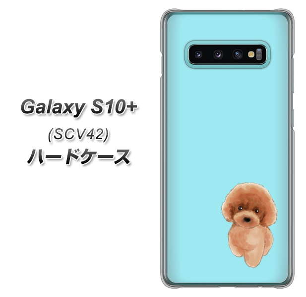 au ギャラクシー S10+ SCV42 高画質仕上げ 背面印刷 ハードケース【YJ050 トイプードルレッド(ブルー)】