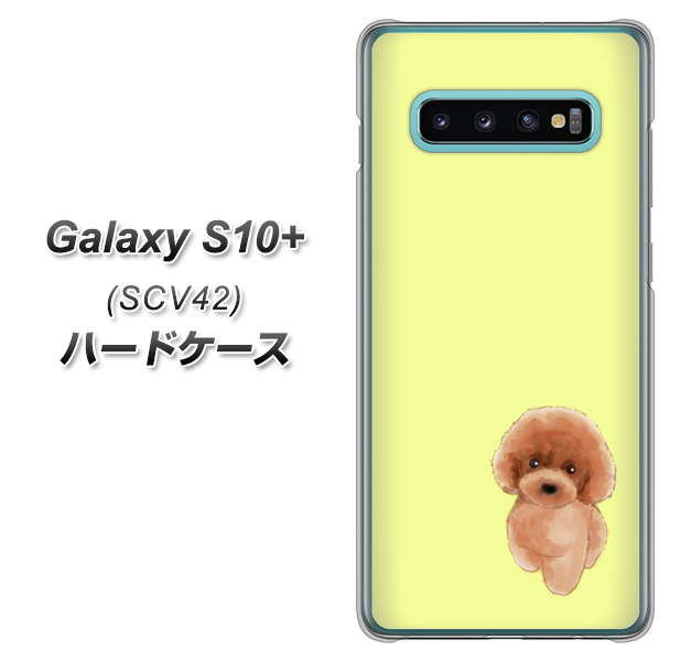 au ギャラクシー S10+ SCV42 高画質仕上げ 背面印刷 ハードケース【YJ051 トイプードルレッド(イエロー)】