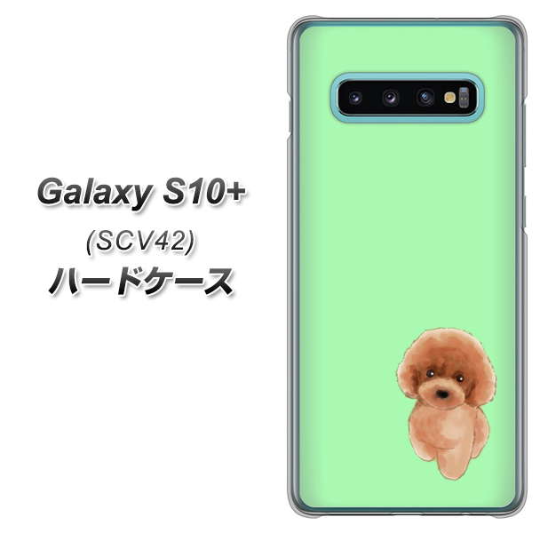 au ギャラクシー S10+ SCV42 高画質仕上げ 背面印刷 ハードケース【YJ052 トイプードルレッド( グリーン)】