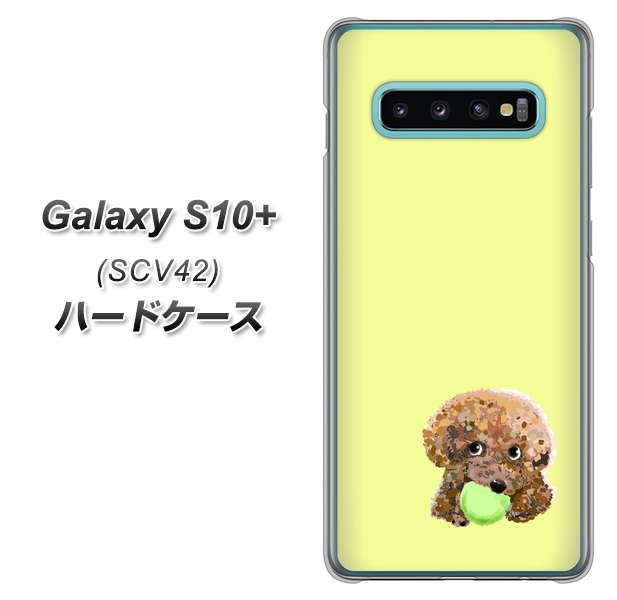 au ギャラクシー S10+ SCV42 高画質仕上げ 背面印刷 ハードケース【YJ056 トイプードル&ボール(イエロー)】