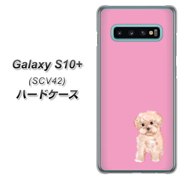 au ギャラクシー S10+ SCV42 高画質仕上げ 背面印刷 ハードケース【YJ061 トイプードルアプリコット(ピンク)】
