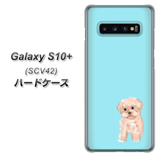 au ギャラクシー S10+ SCV42 高画質仕上げ 背面印刷 ハードケース【YJ062 トイプードルアプリコット(ブルー)】