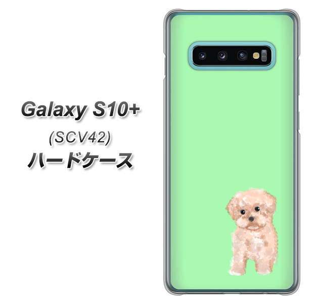 au ギャラクシー S10+ SCV42 高画質仕上げ 背面印刷 ハードケース【YJ063 トイプードルアプリコット(グリーン)】