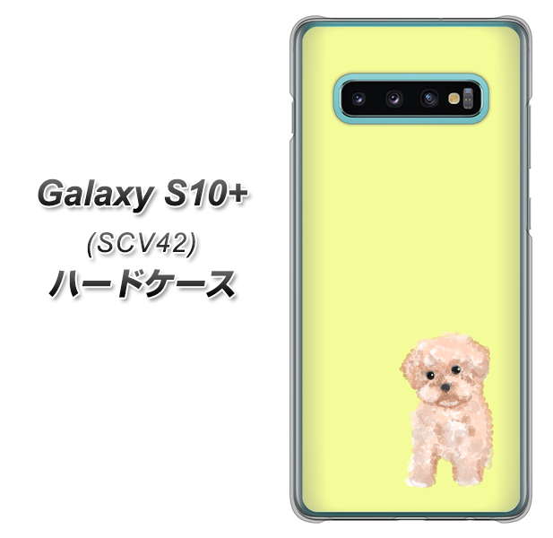 au ギャラクシー S10+ SCV42 高画質仕上げ 背面印刷 ハードケース【YJ064 トイプードルアプリコット(イエロー)】