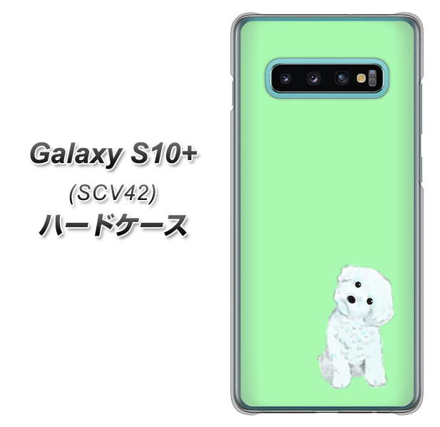 au ギャラクシー S10+ SCV42 高画質仕上げ 背面印刷 ハードケース【YJ071 トイプードルホワイト(グリーン)】